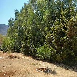 Appartement Kallisti Chersonissos